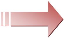 Office Organization Process