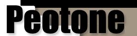Peotone